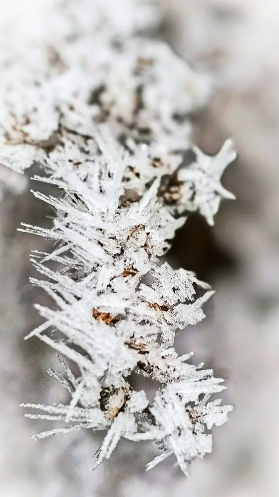 Photograph by Irina Prazdnikova