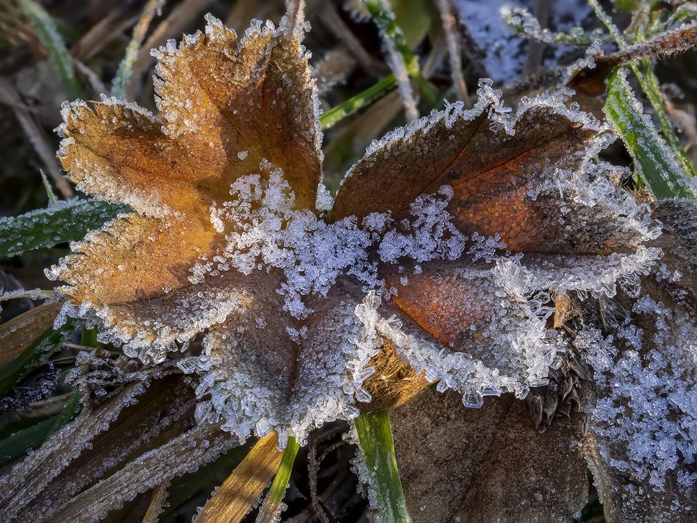 Начало зимы