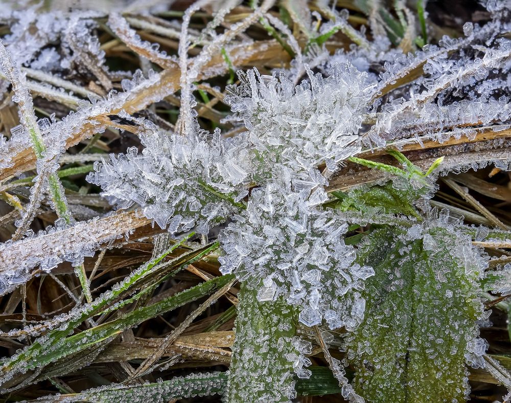 Хрупкая красота