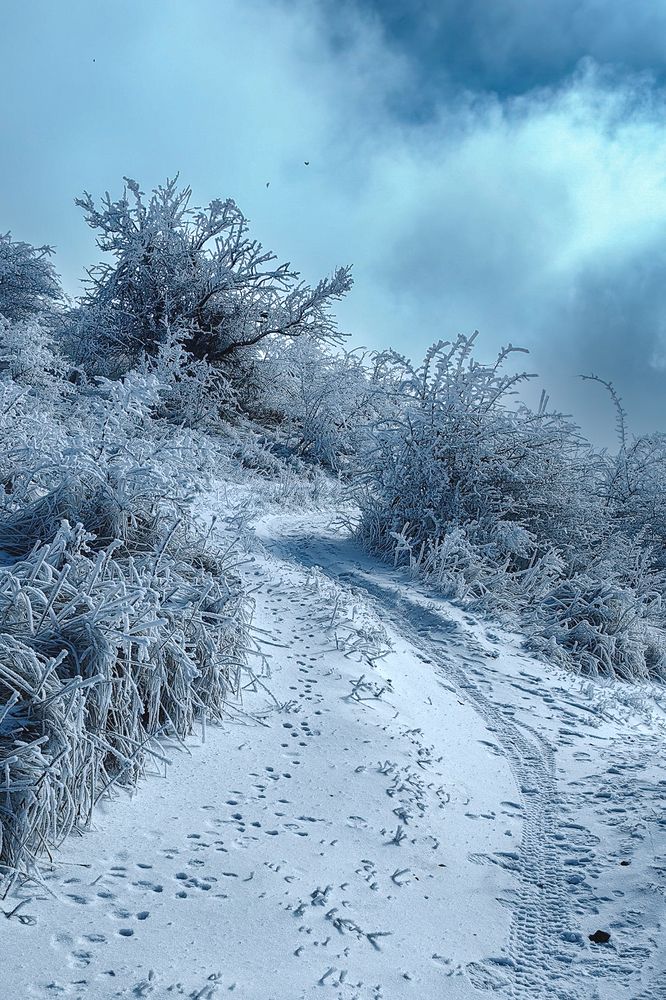 Photograph by Igor Maksimenko