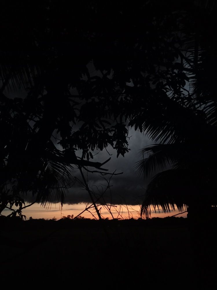 The Last Light