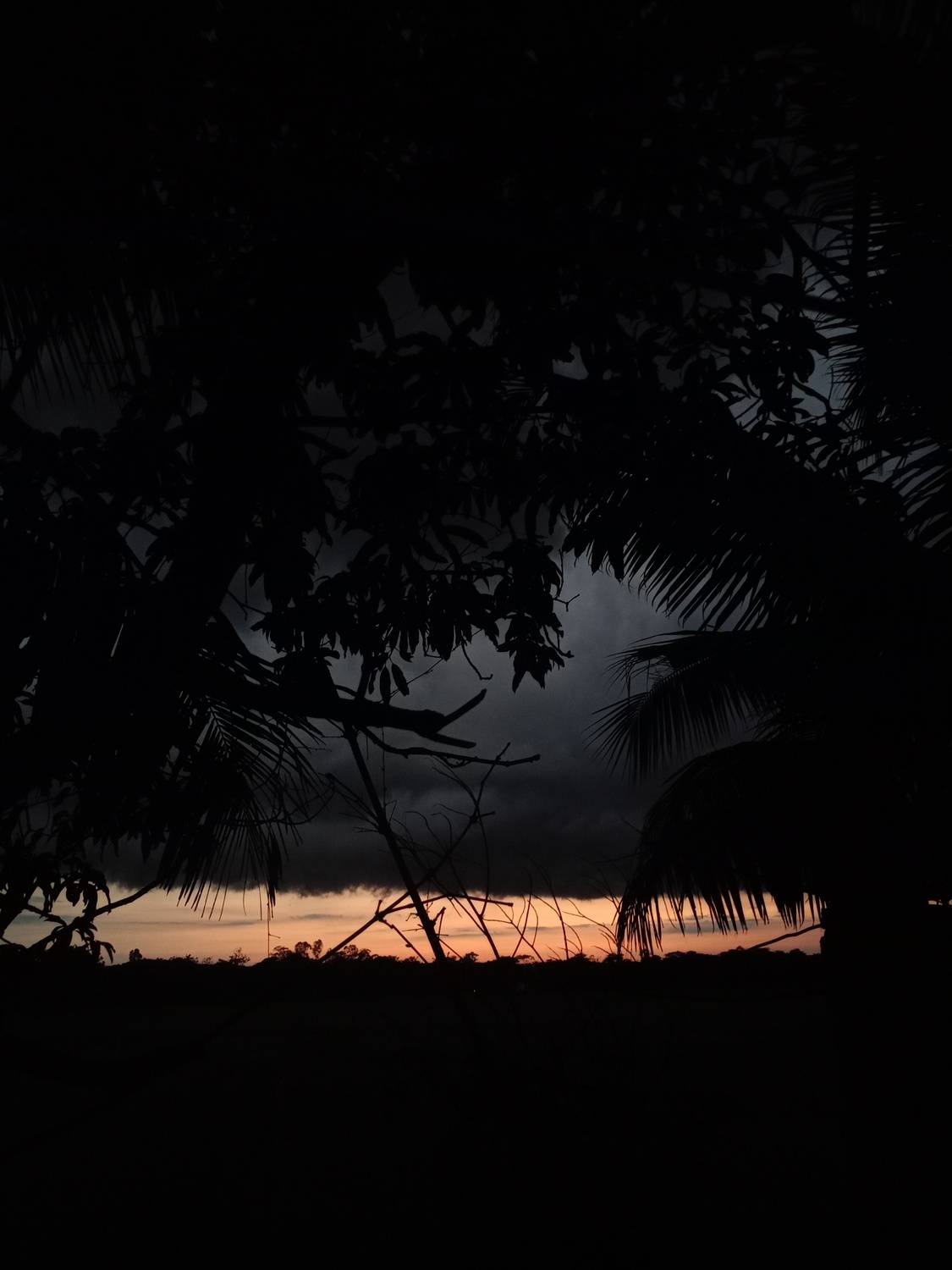The Last Light
