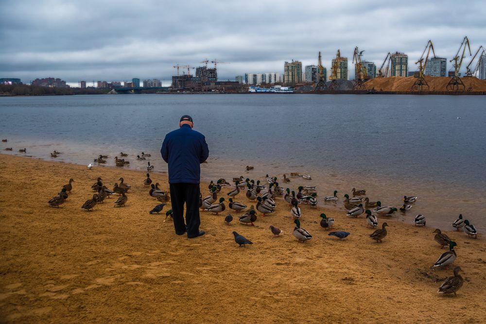 Photograph by Алексеев Сергей