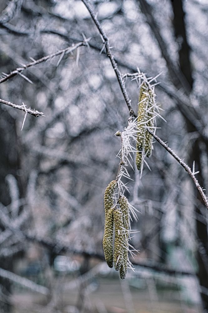 Photograph by Анна Опанасенко