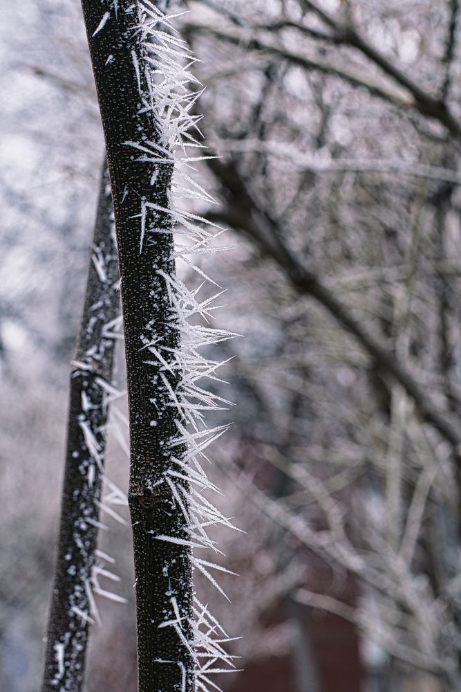 Photograph by Анна Опанасенко