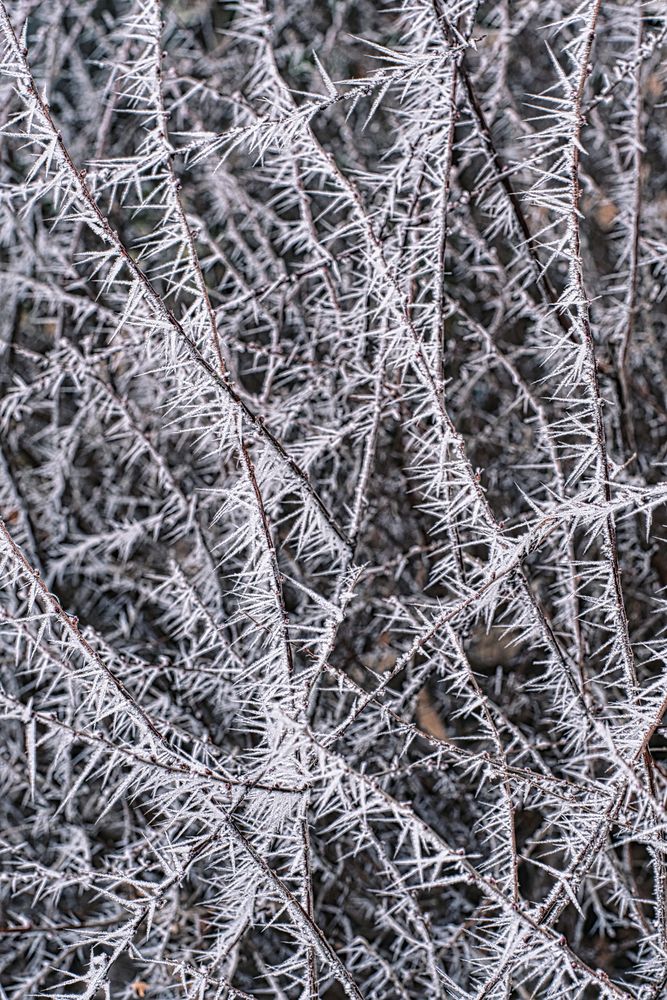 Photograph by Анна Опанасенко