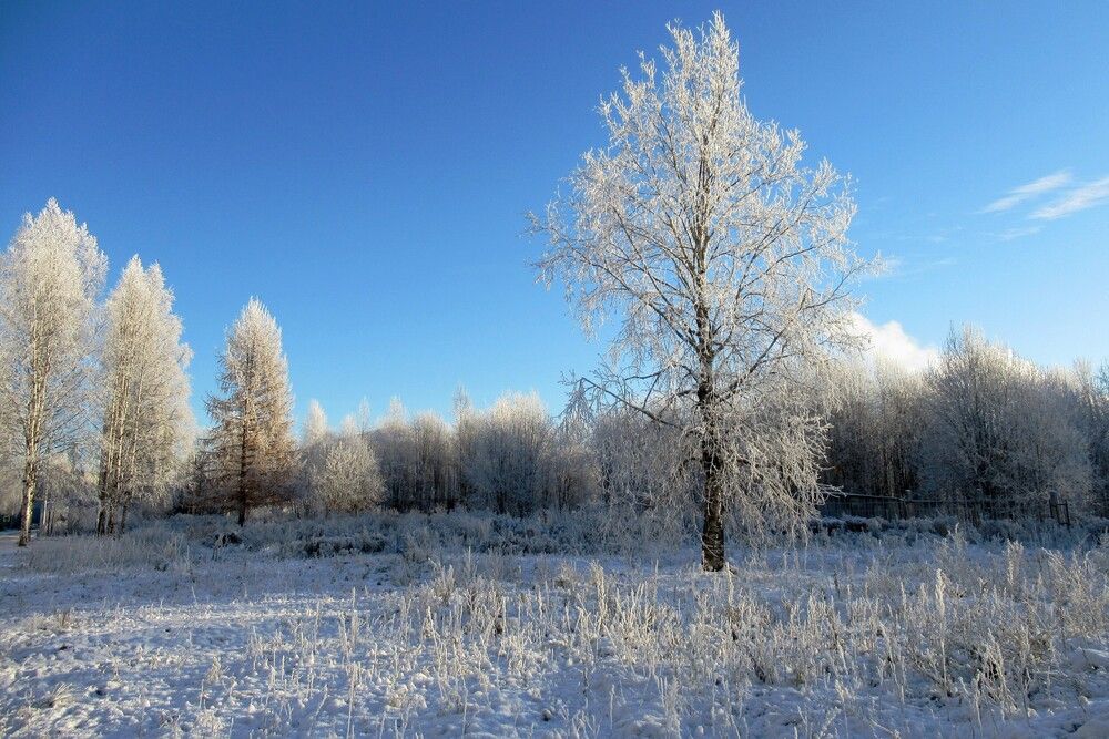 Photograph by Ольга Березовская