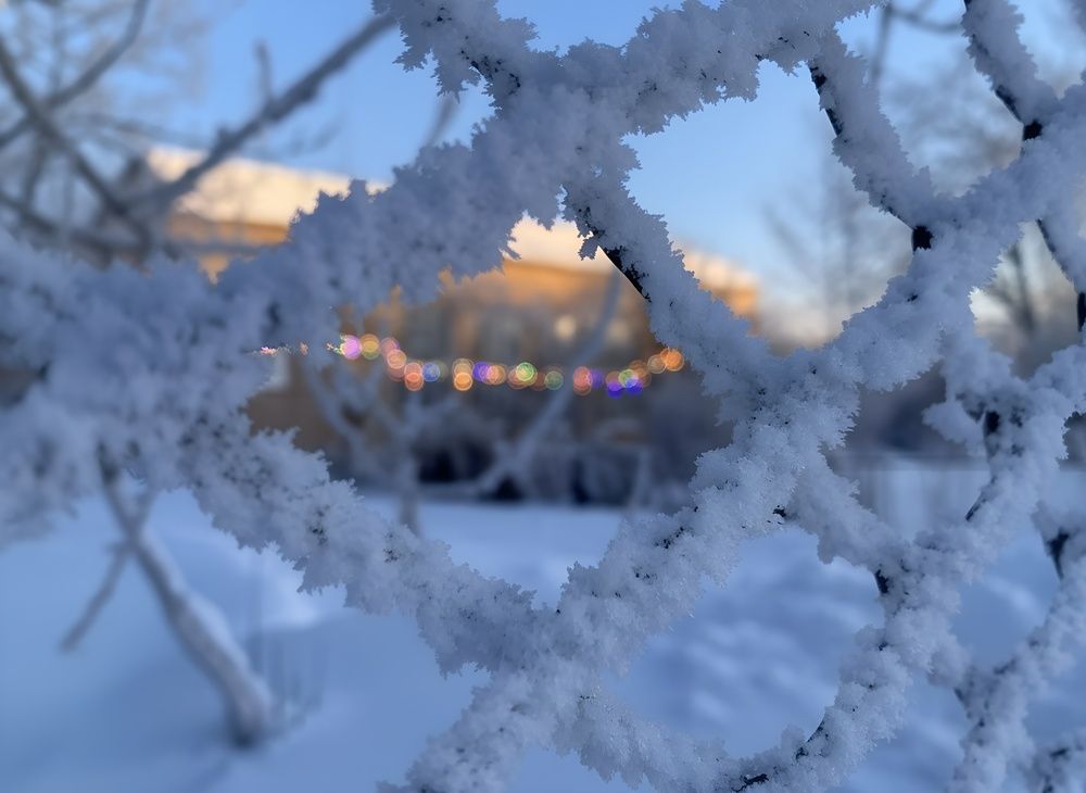 Photograph by Алла Саблина
