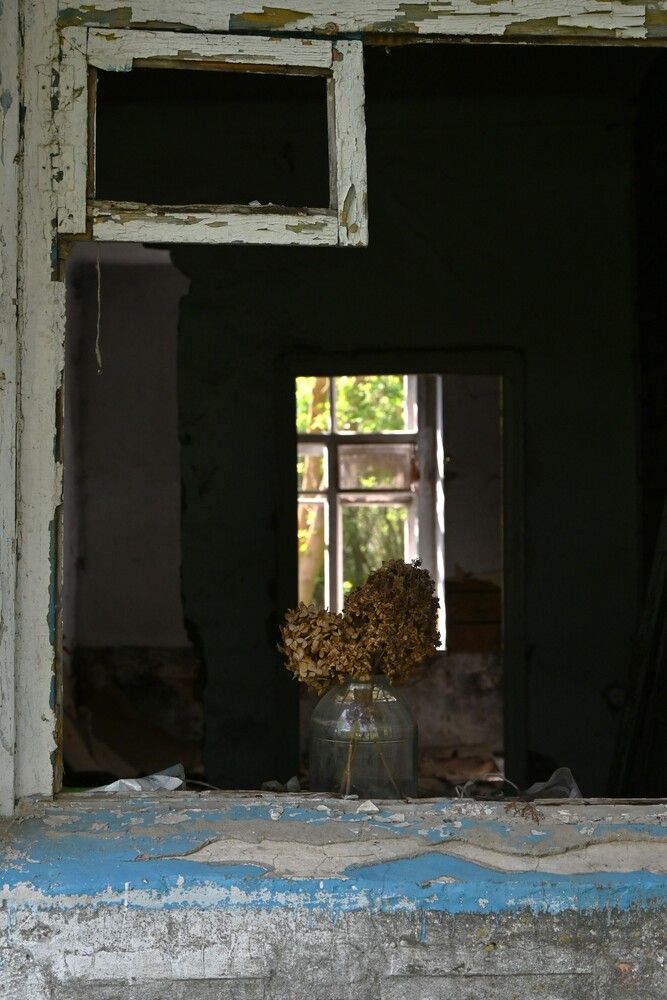 Фотография автора IRINA FILIPPOVA