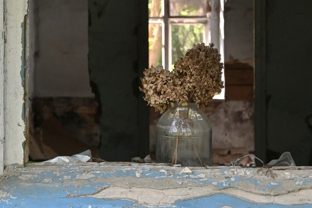 Фотография автора IRINA FILIPPOVA