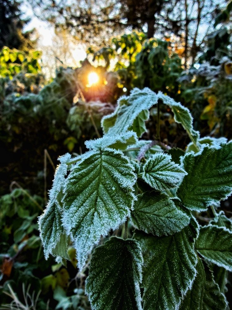 Photograph by Svetlana Porokhovnikova