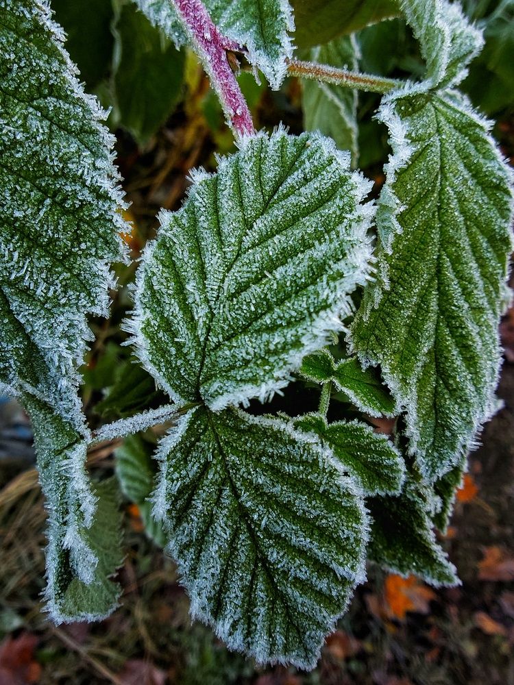 Photograph by Svetlana Porokhovnikova