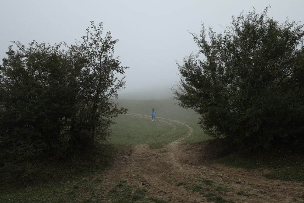 Photograph by Morteza Beiglou