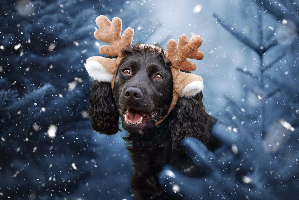 Photograph by Natalie Taylor