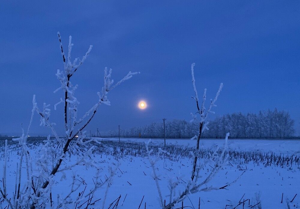 Photograph by Алла Саблина