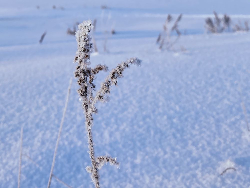 Photograph by Алла Саблина