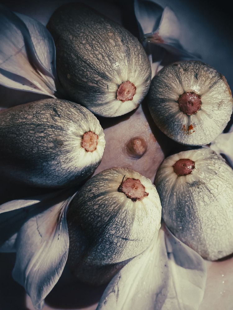 Photograph by РУВИНСКАЯ ИРИНА