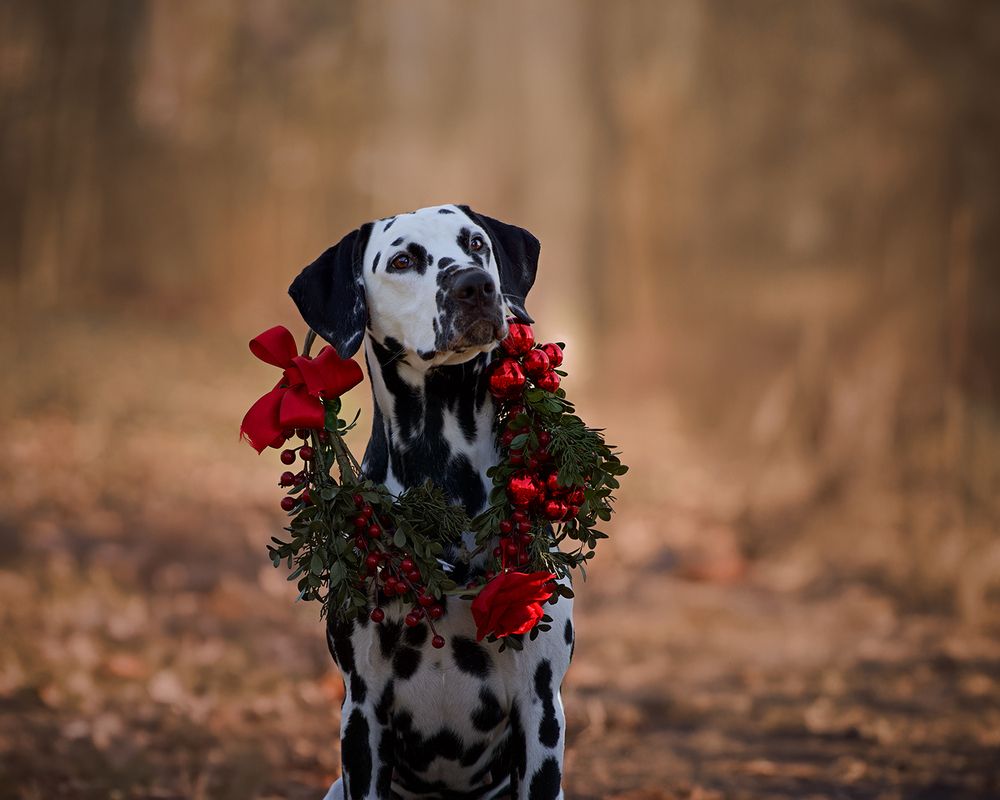 Photograph by Natalie Taylor