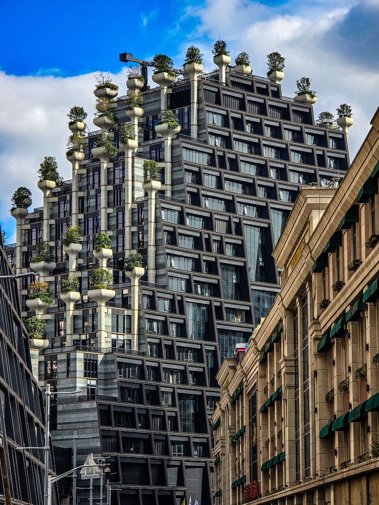 Photograph by Ира Петербург