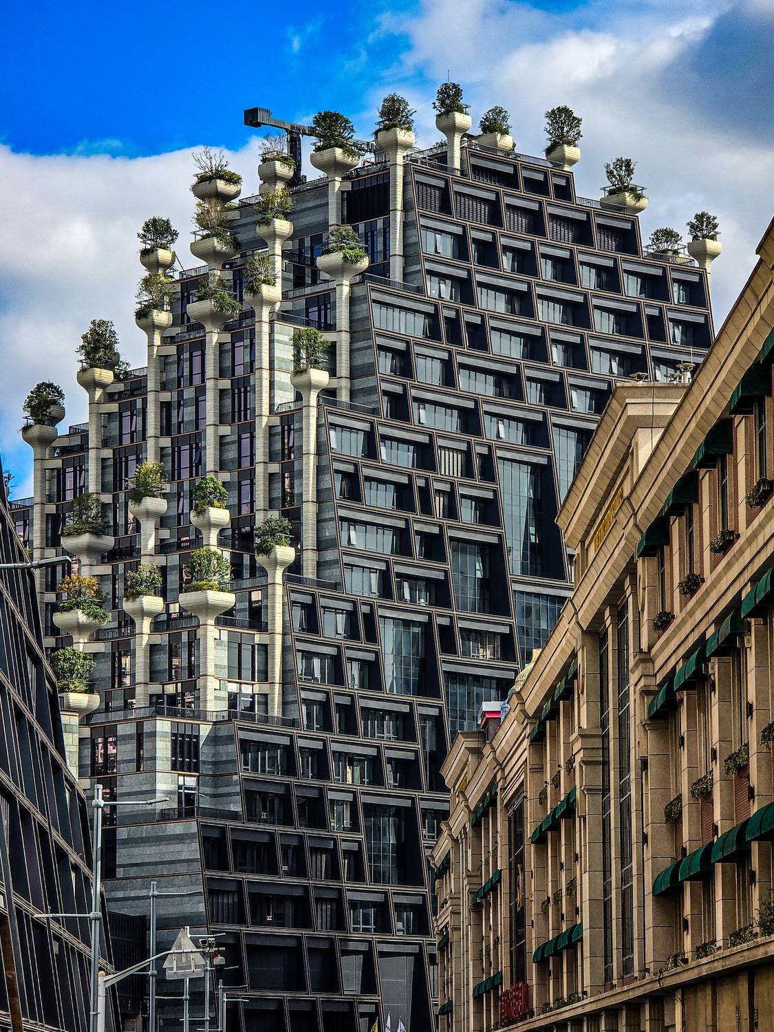 Фотография #13033622