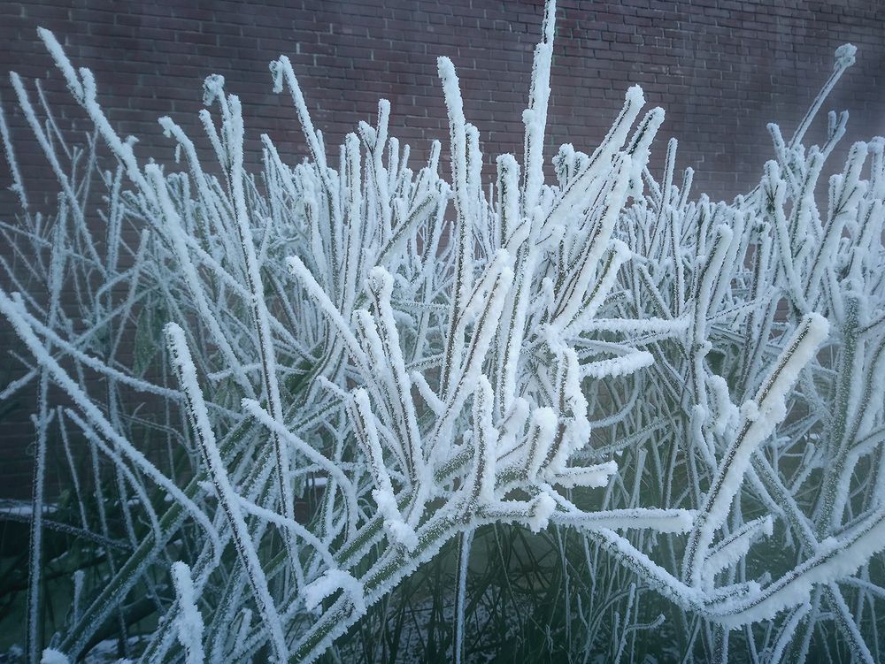 Photograph by Виктория Лаврова