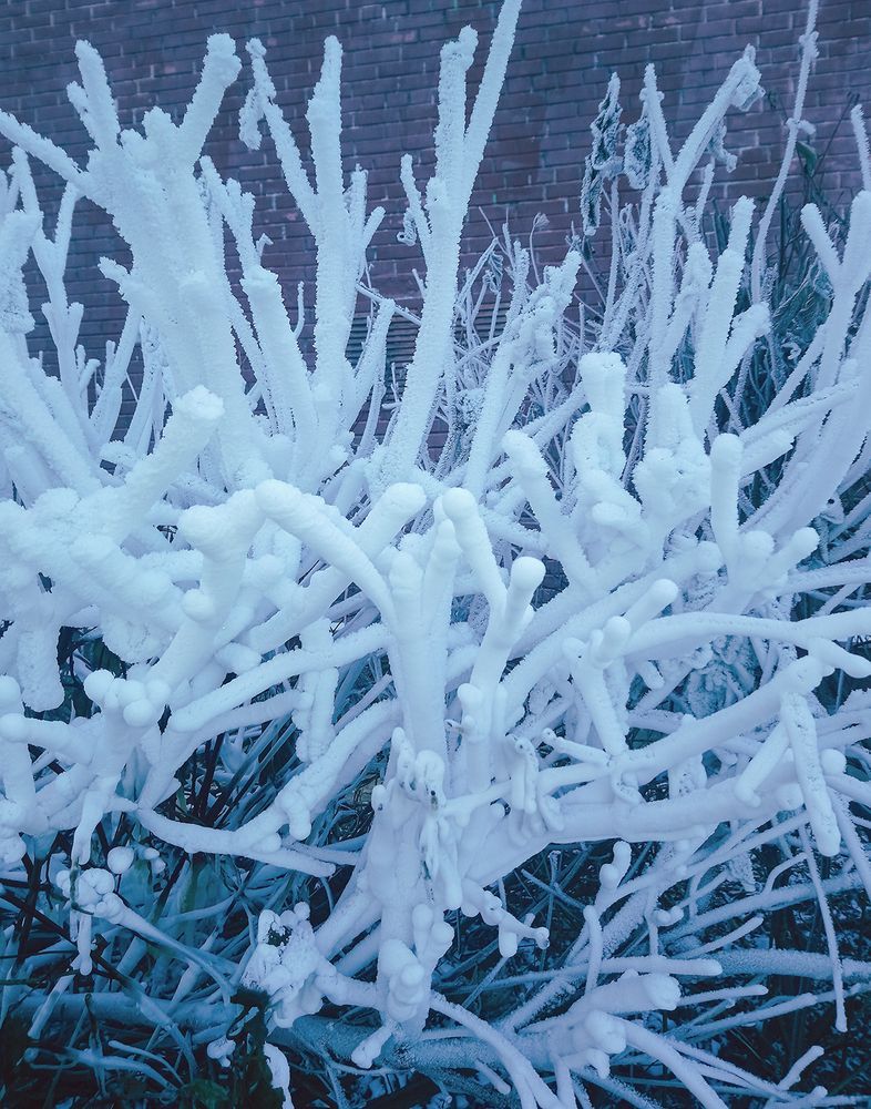 Photograph by Виктория Лаврова