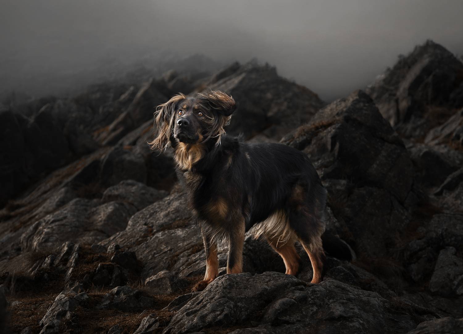 Фотография #13033643