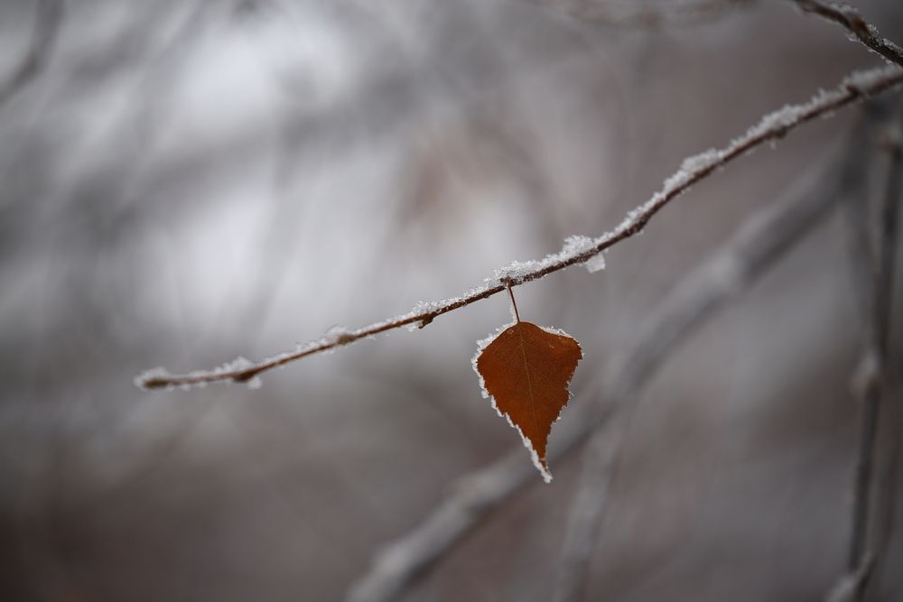 Photograph by Наталья Малышева