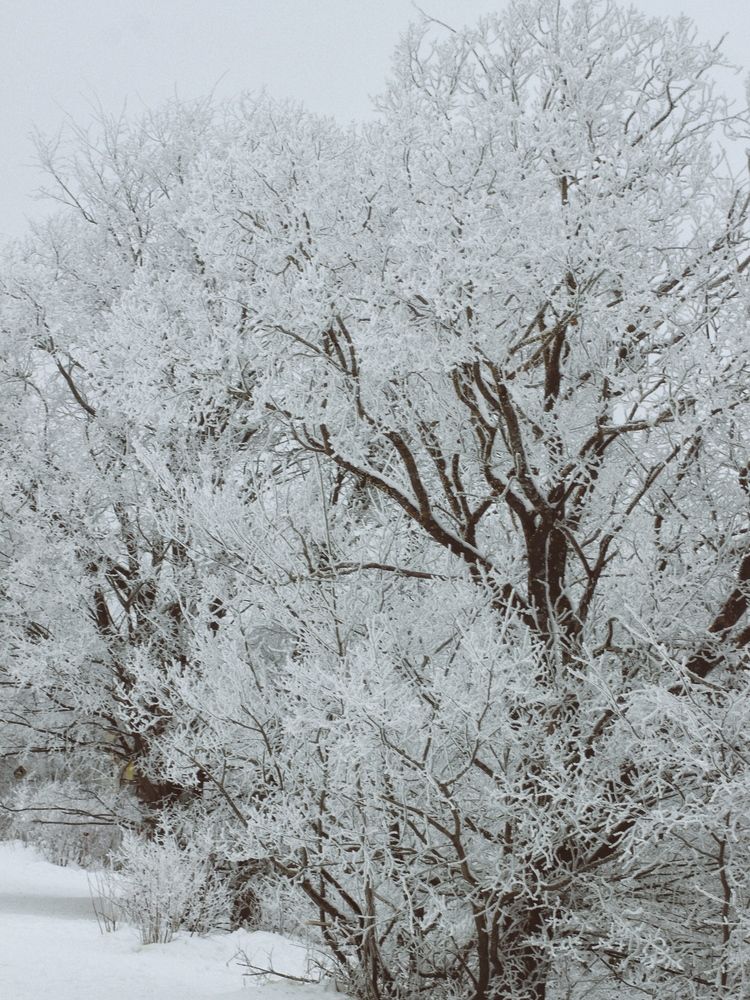 Фотография автора Евгения Никишина