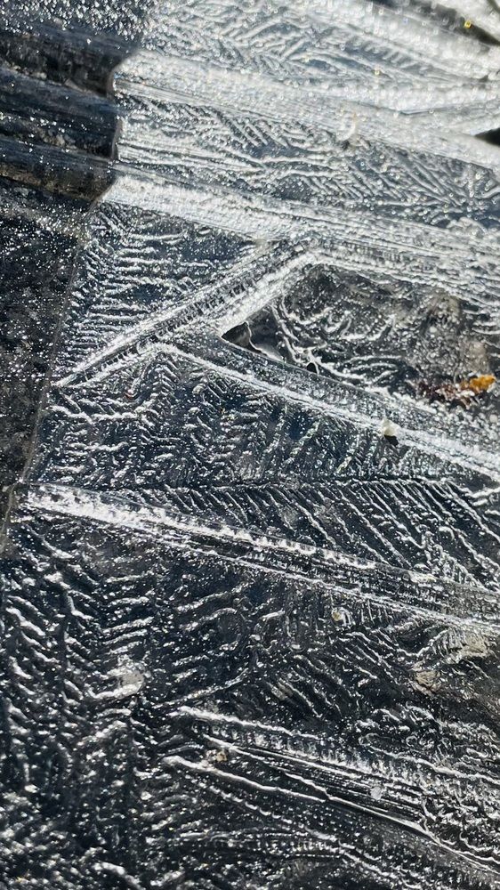 Фотография автора Olga Andriuc