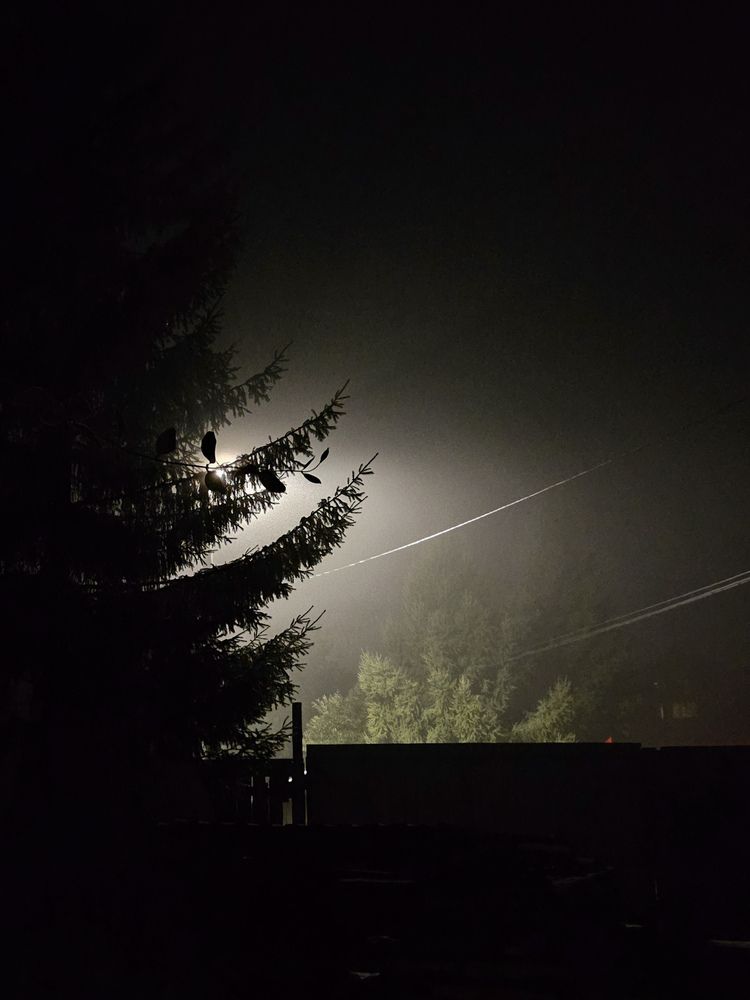 Photograph by Светлана Широкова