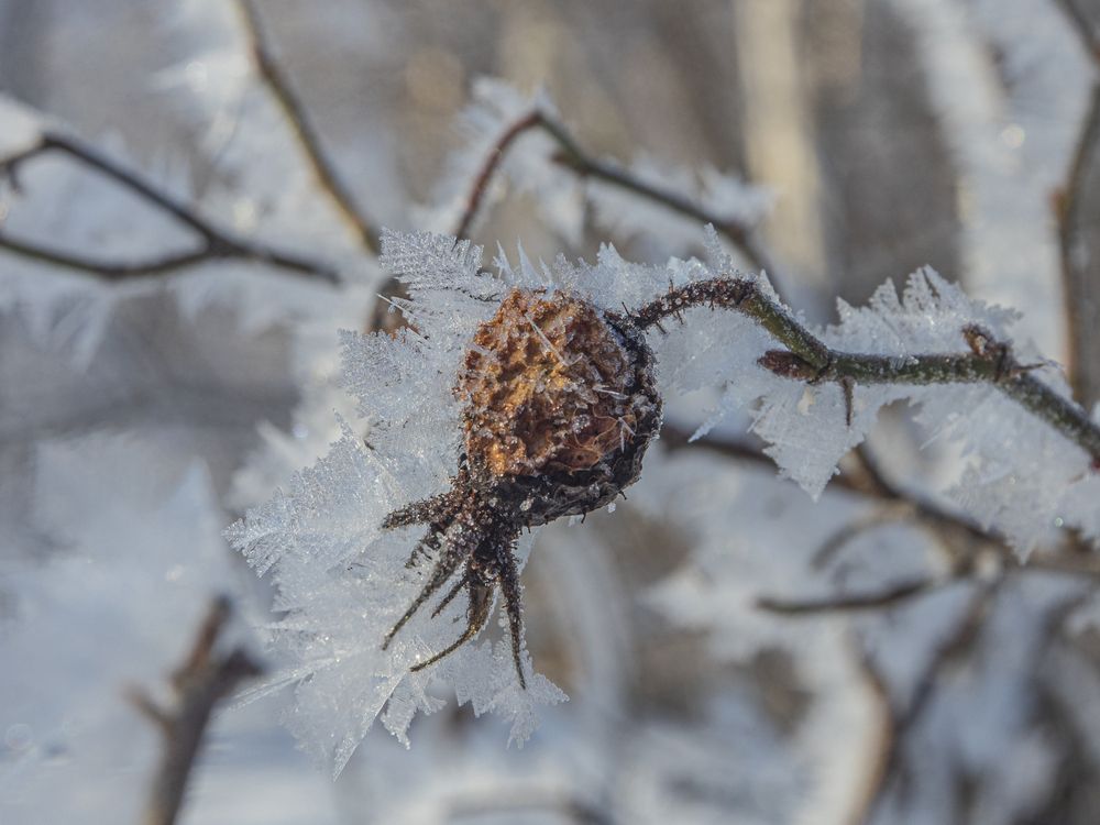 Photograph by Надежда Михайлина