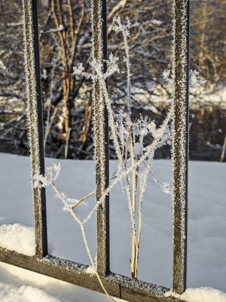 Фотография автора Наташа Данилова