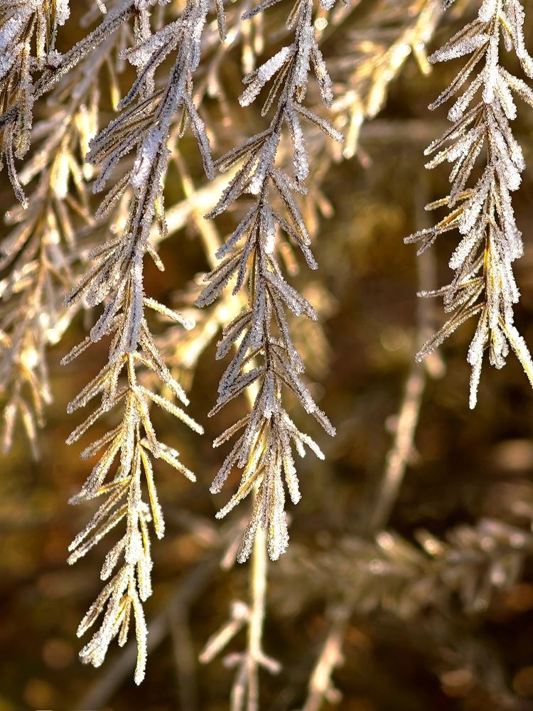 Фотография автора Наташа Данилова