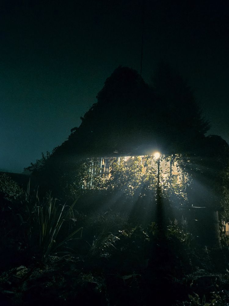 Photograph by Светлана Широкова