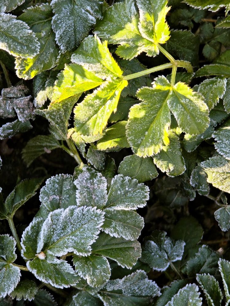 Фотография автора Наташа Данилова