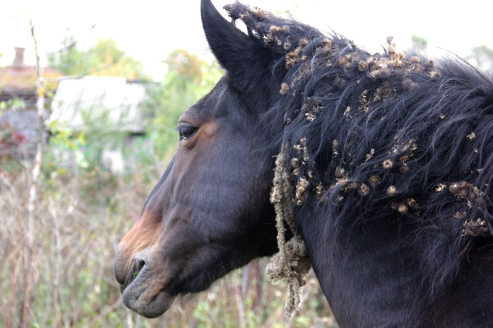 Фотография автора Лада Денисова
