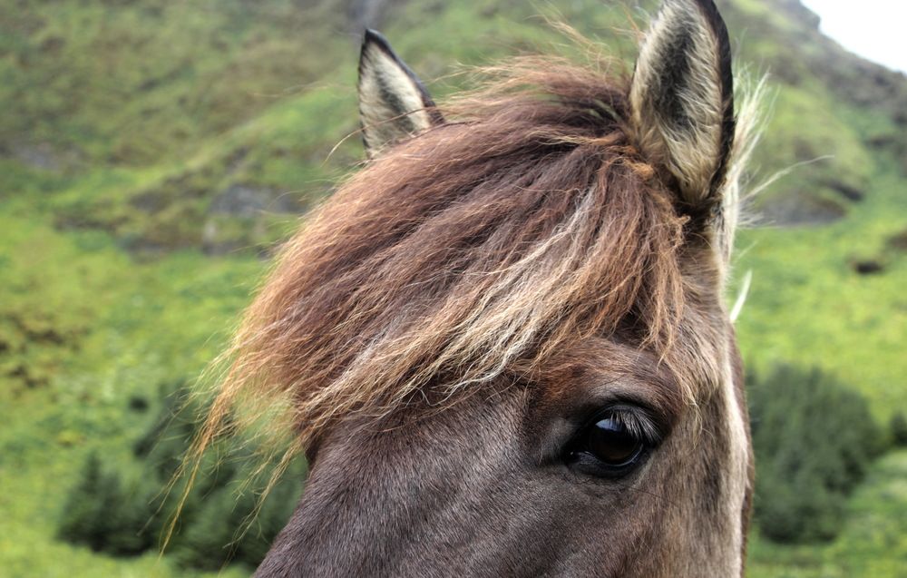Фотография автора Лада Денисова