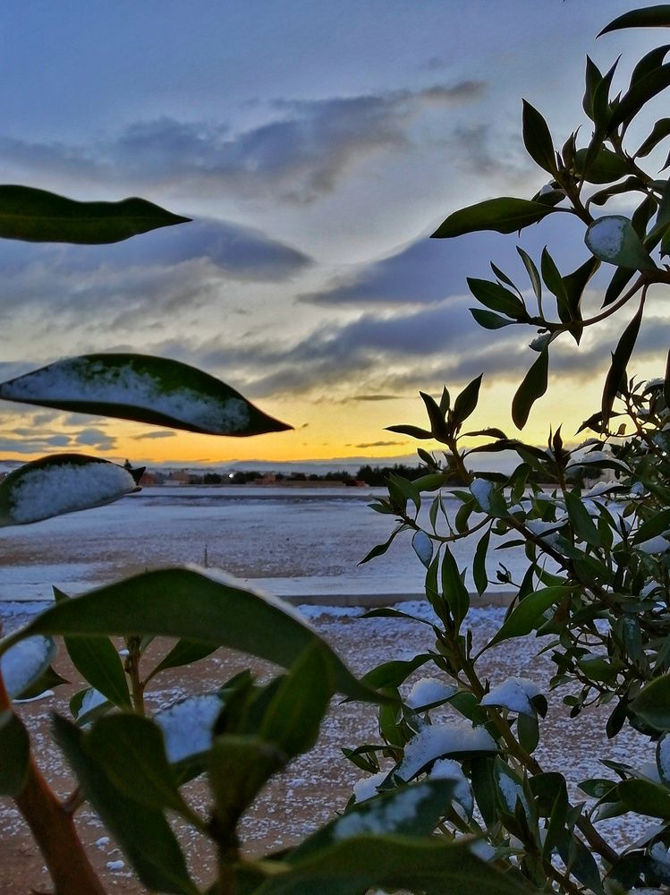 Photograph by Azzeddine Memmou