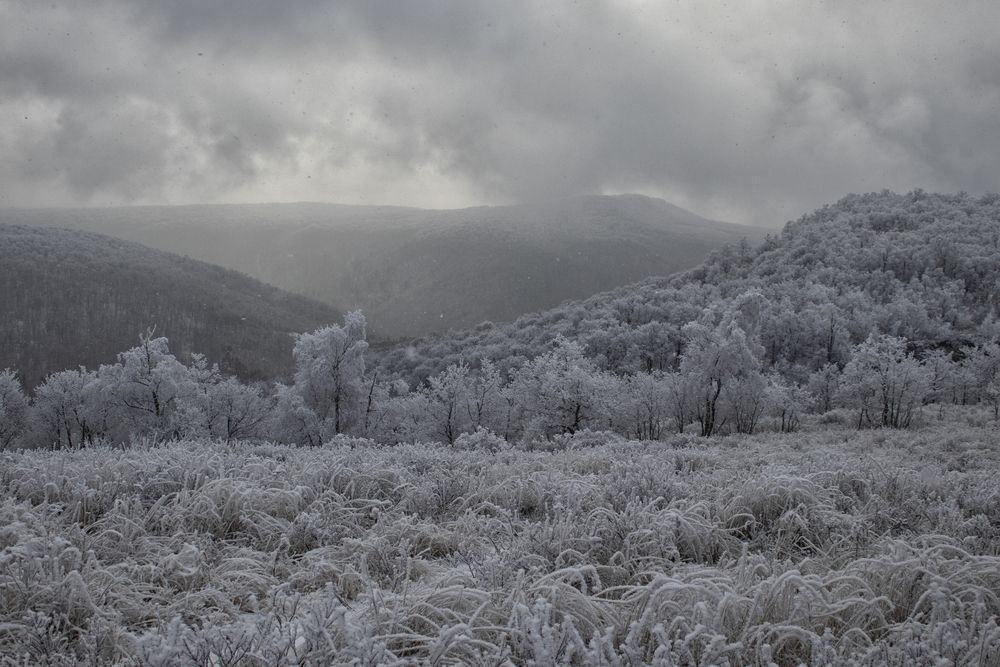 Photograph by Веста Ягужинская