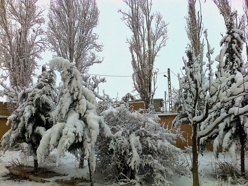 Photograph by Azzeddine Memmou