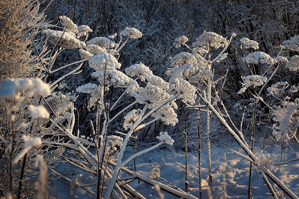 Photograph by Миша Автократов