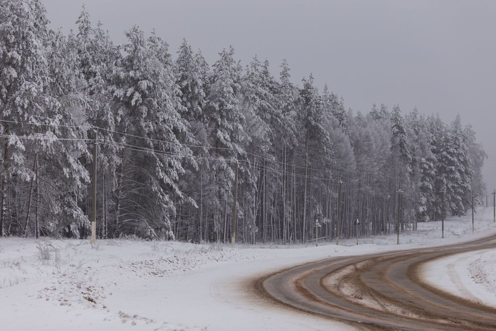 Фотография автора Лариса Видинеева