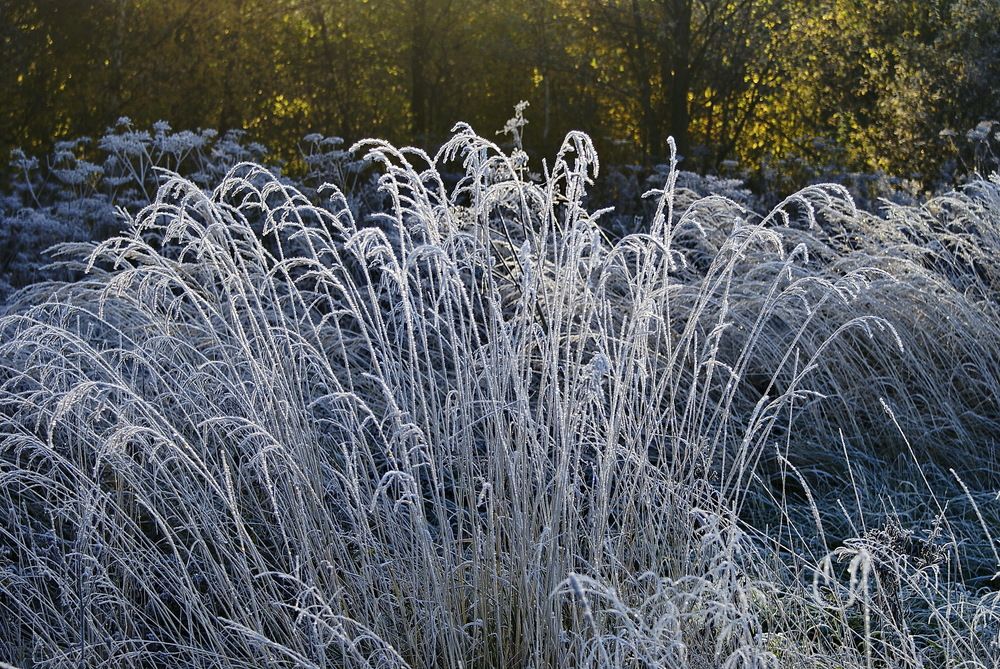 Между осенью и зимой