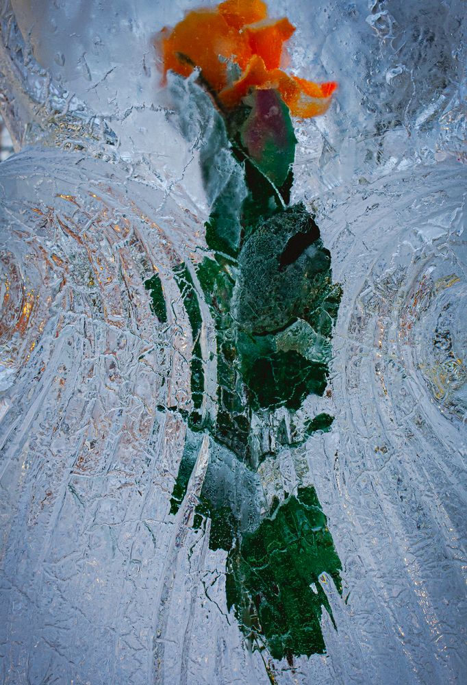Photograph by Александр Коньшин