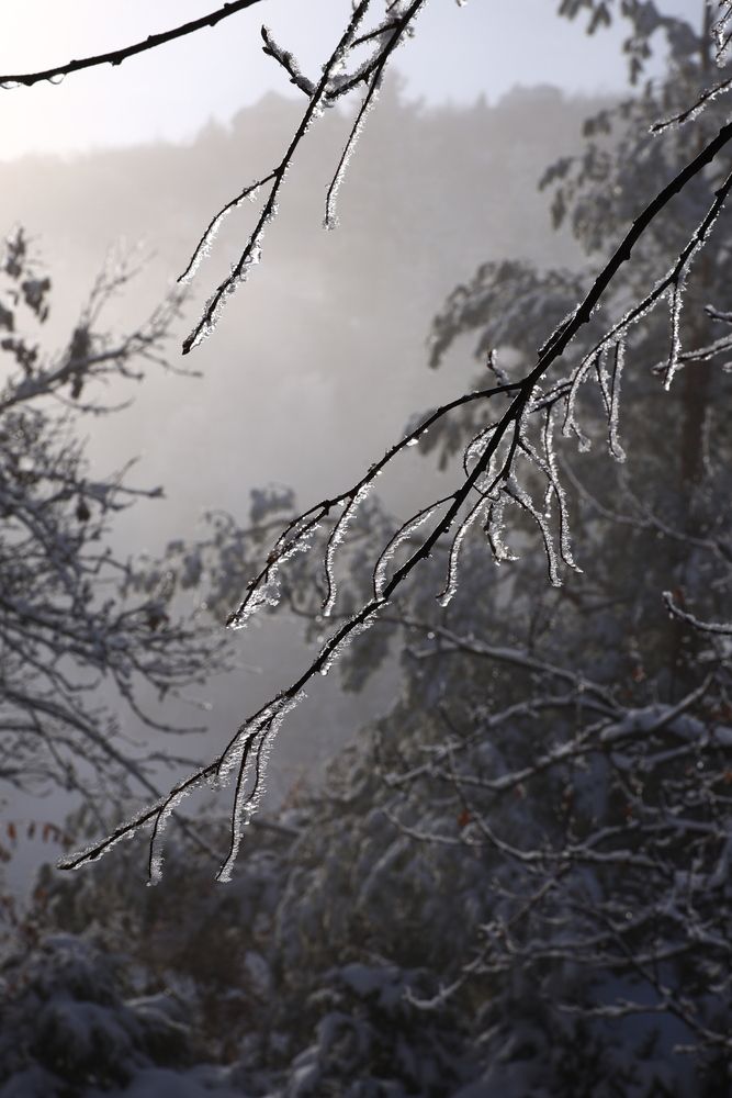 Photograph by Наталья Малышева