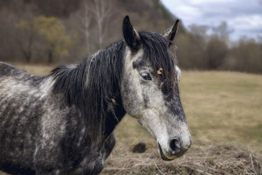 Photograph by Вячеслав Ват