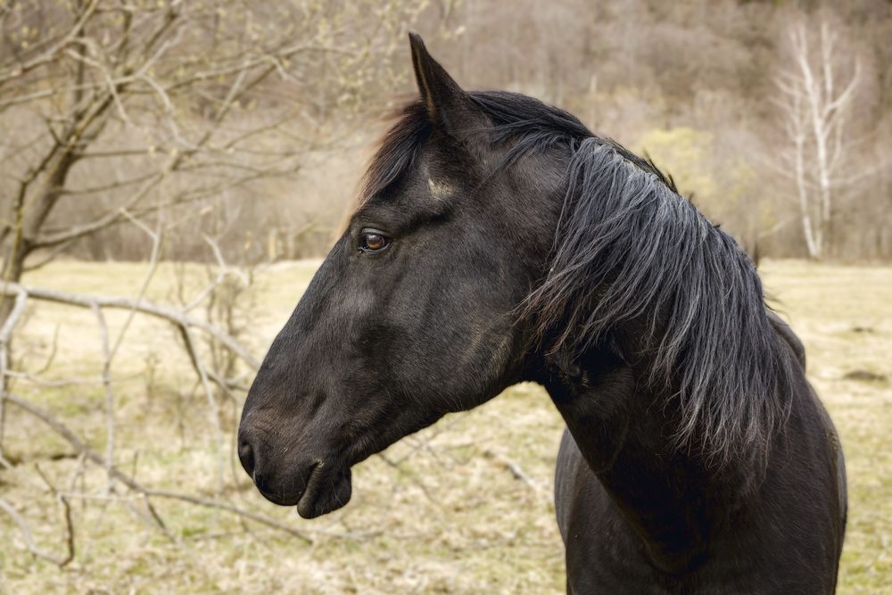 Photograph by Вячеслав Ват