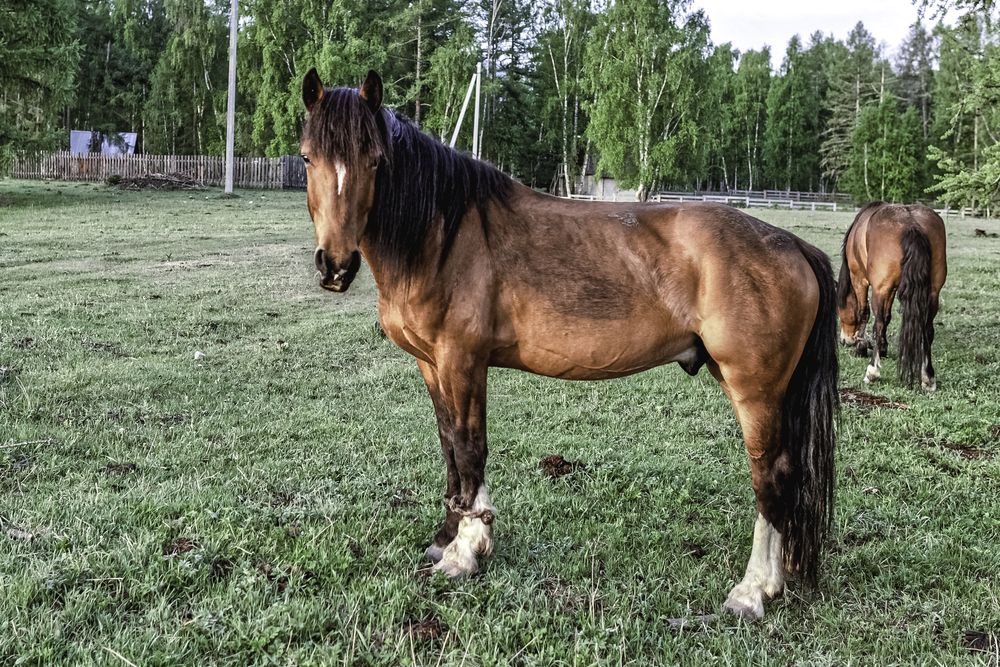 Photograph by Вячеслав Ват