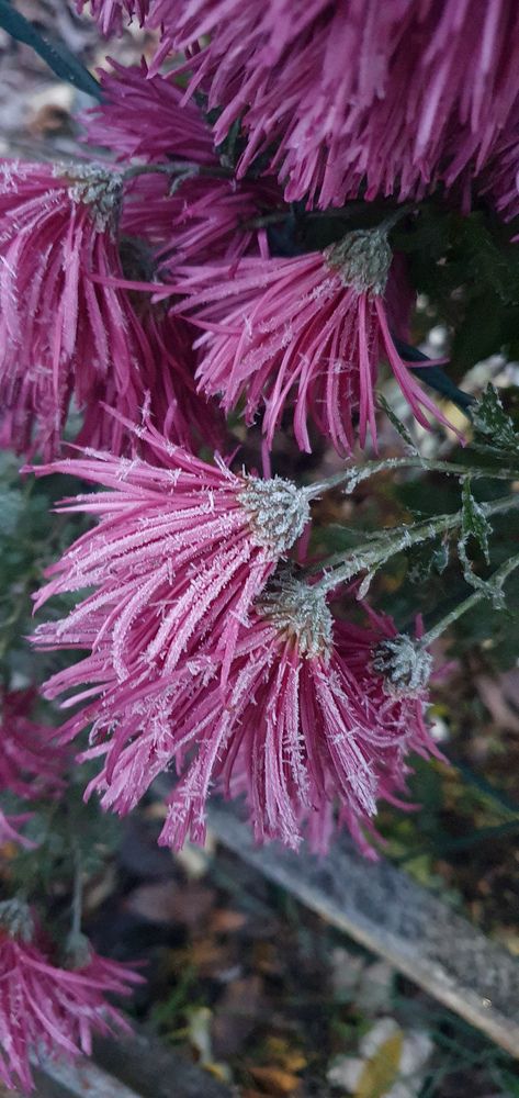 Photograph by Анастасия Трофимовская